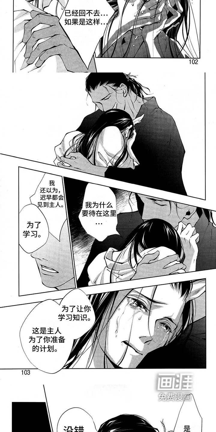 树荫下的般若第10话图