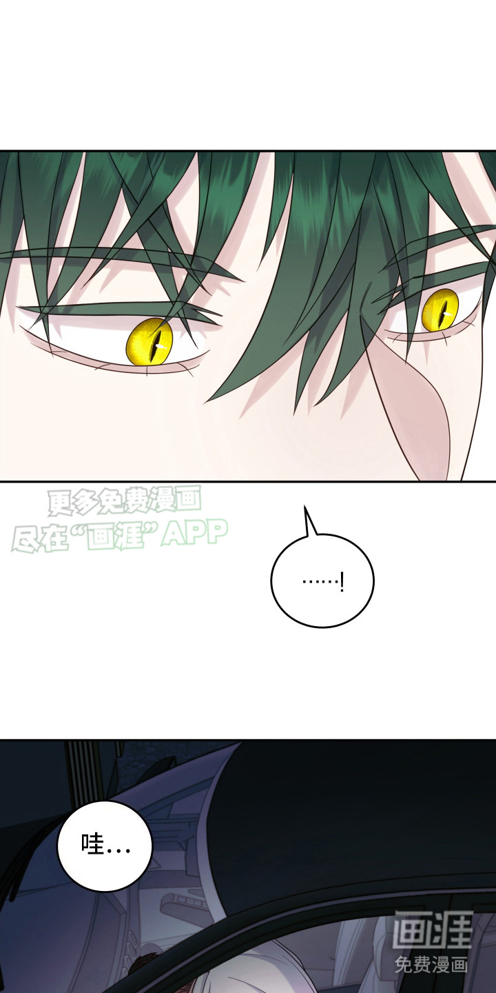 双蛇出洞第10话图