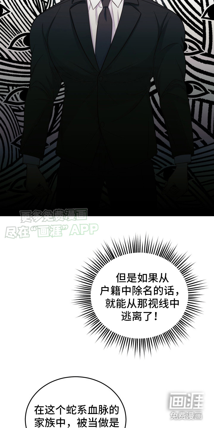 双蛇出洞第2话图