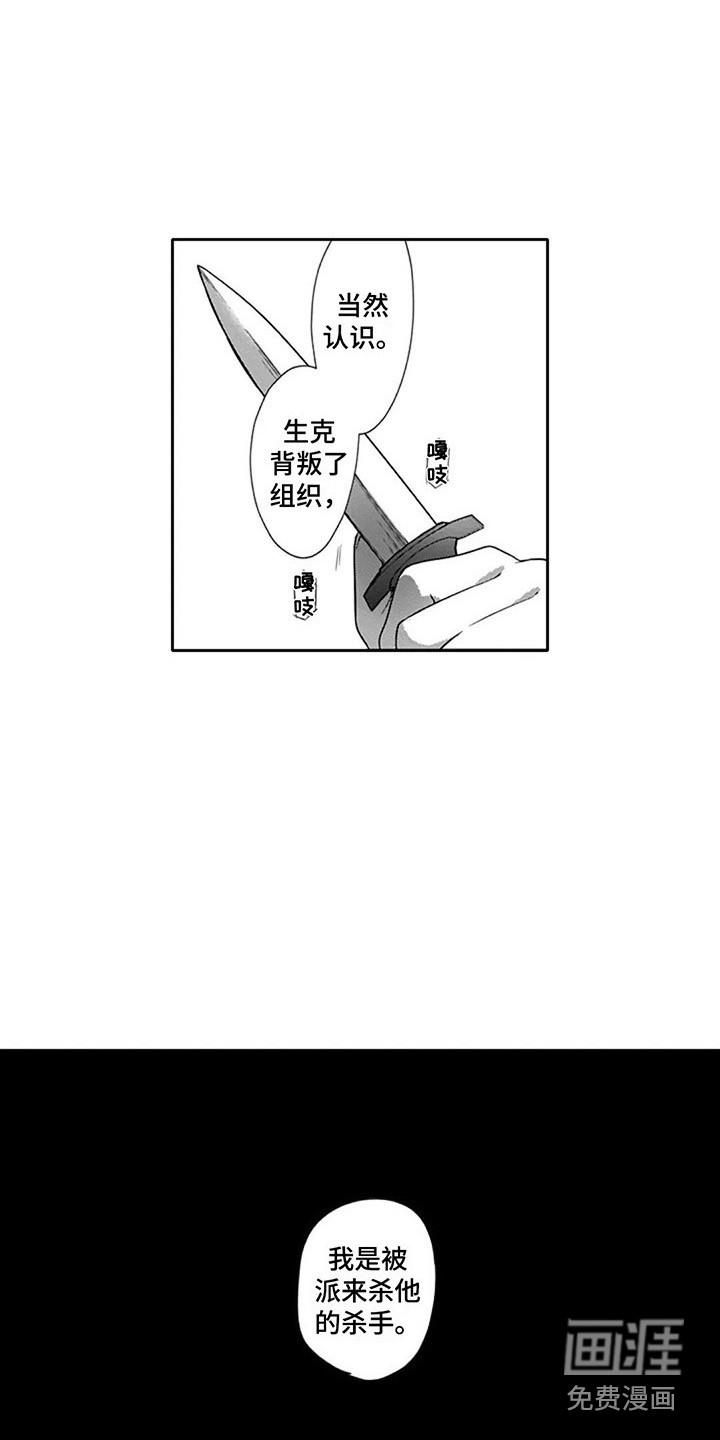 杀手保镖第9话图