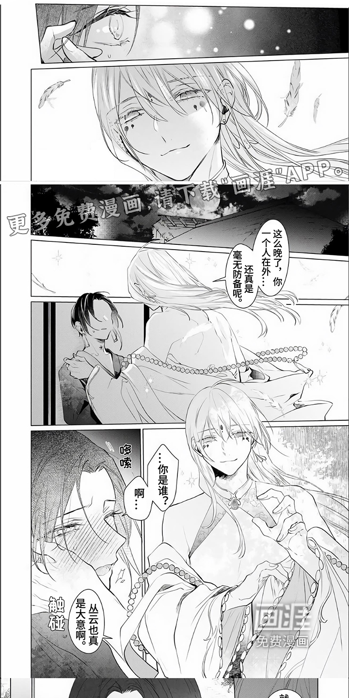 神鹰的生活第10话图