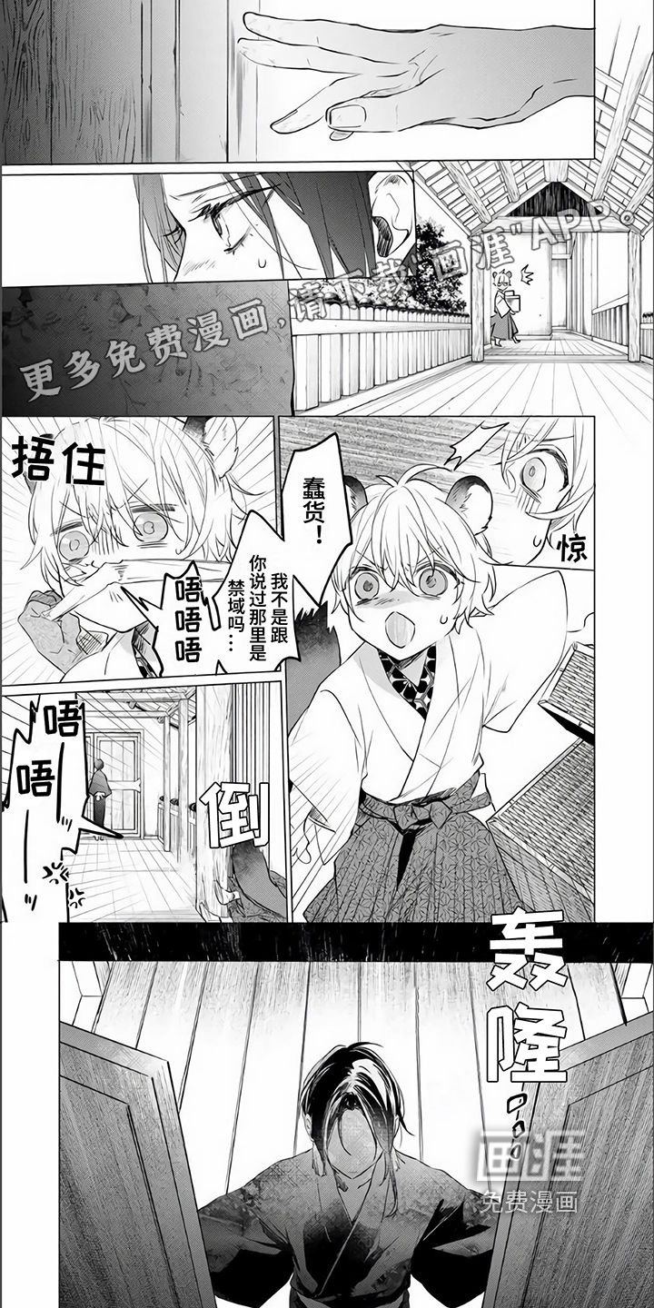 神鹰的生活第13话图