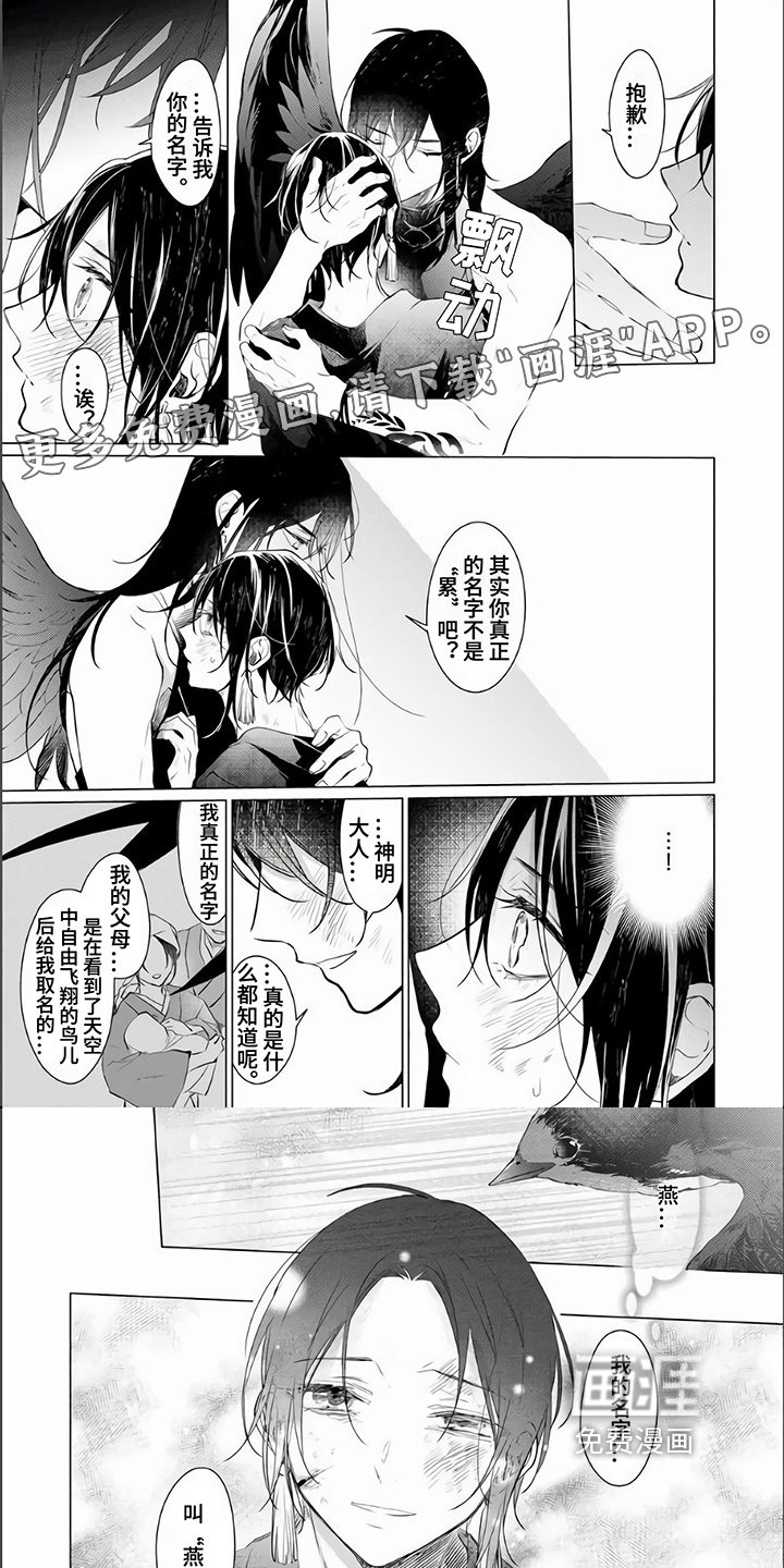 神鹰的生活第16话图