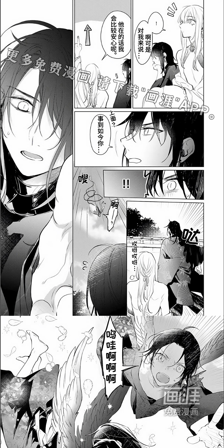 神鹰的生活第17话图