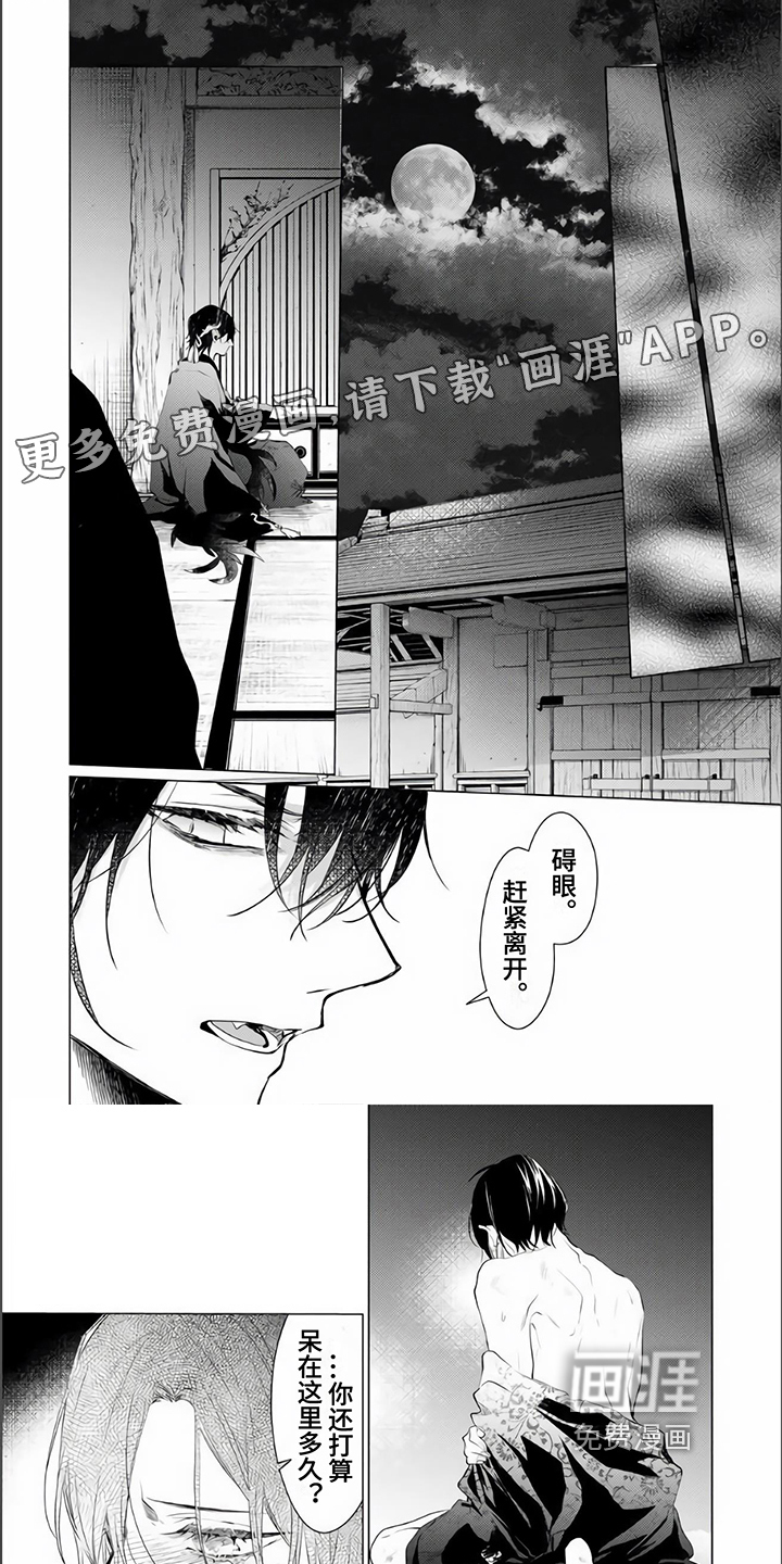 神鹰的生活第4话图