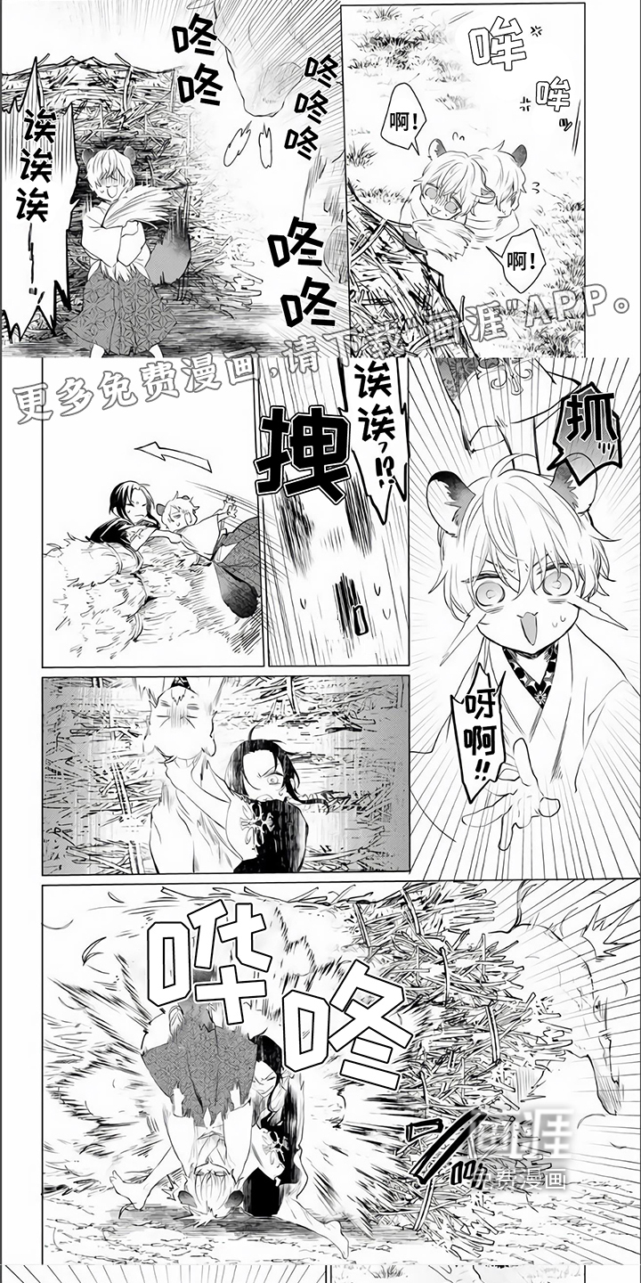 神鹰的生活第5话图