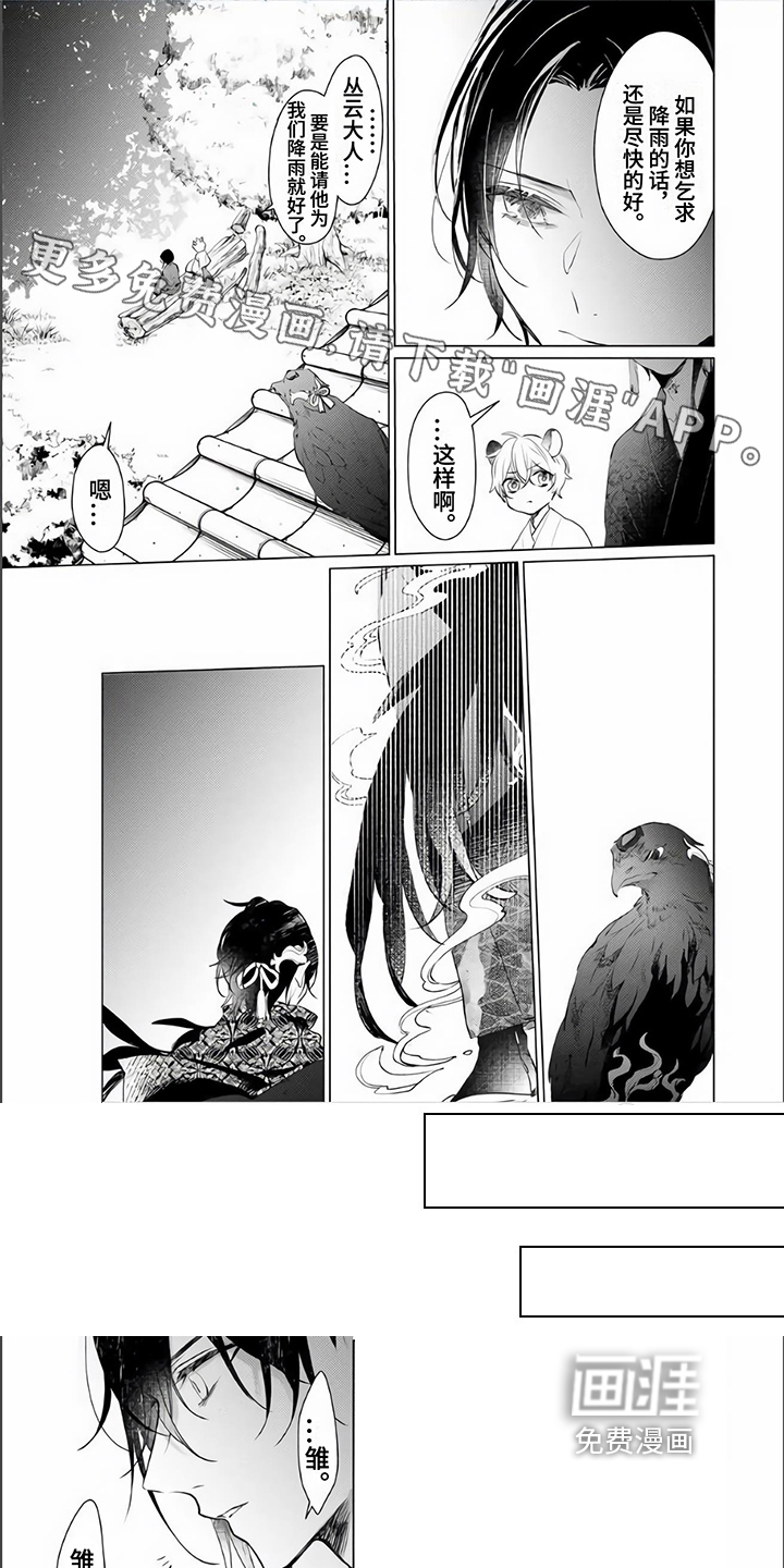 神鹰的生活第6话图