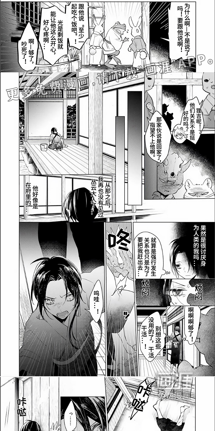 神鹰的生活第9话图