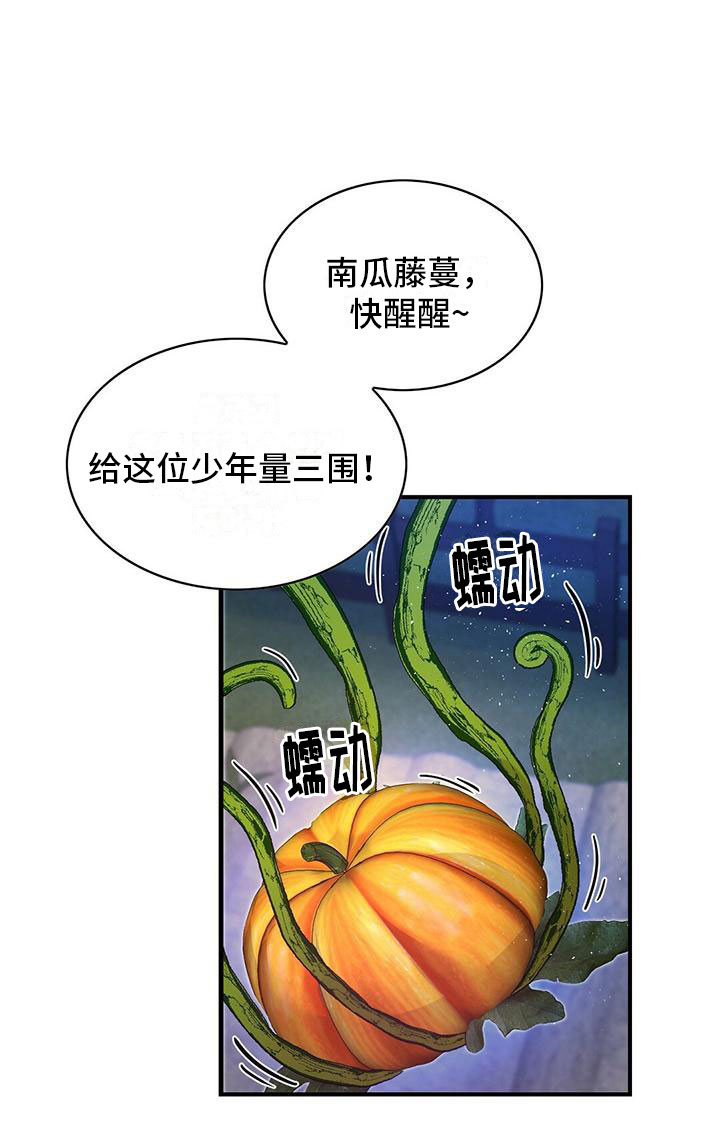 少年灰姑娘第12话图