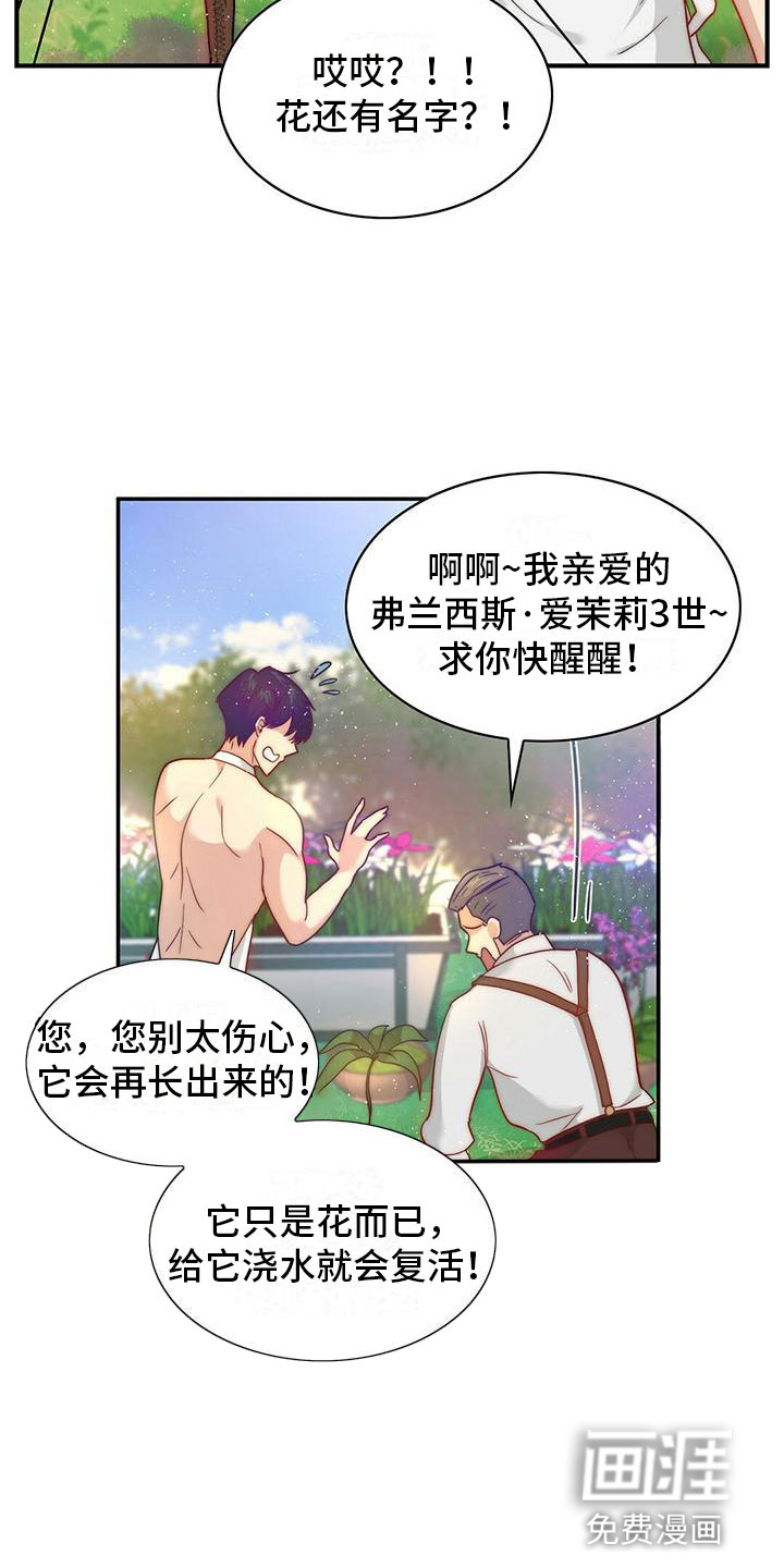 少年灰姑娘 第9话 第14页