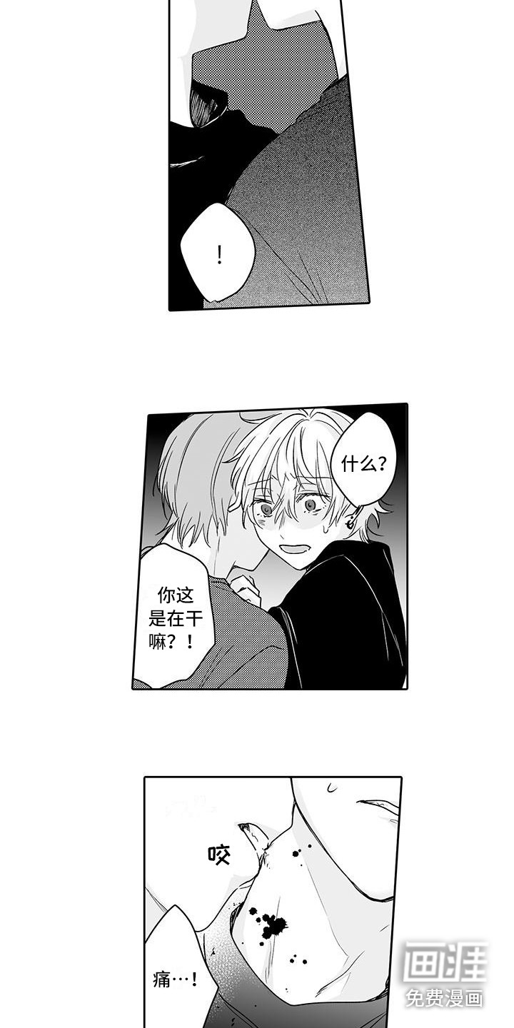 帅哥守则第14话图