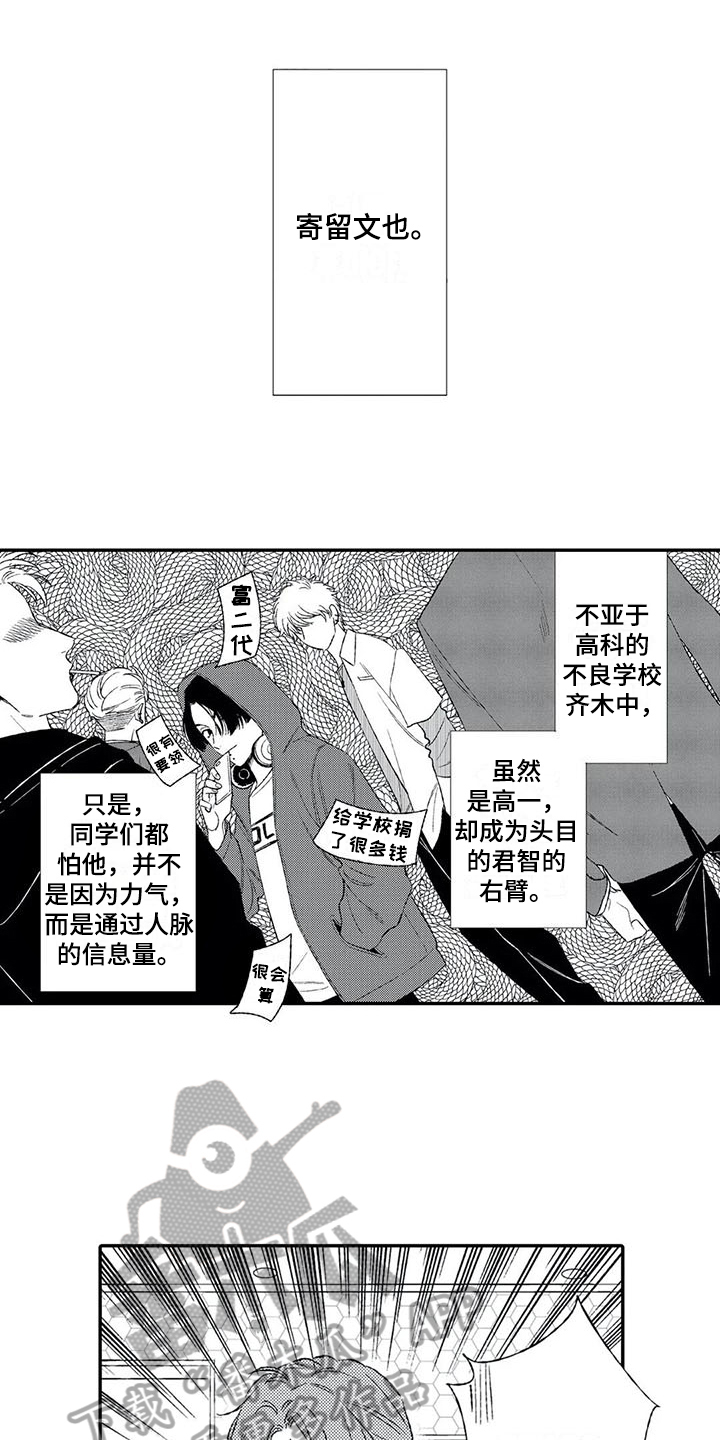 双重目的第11话图