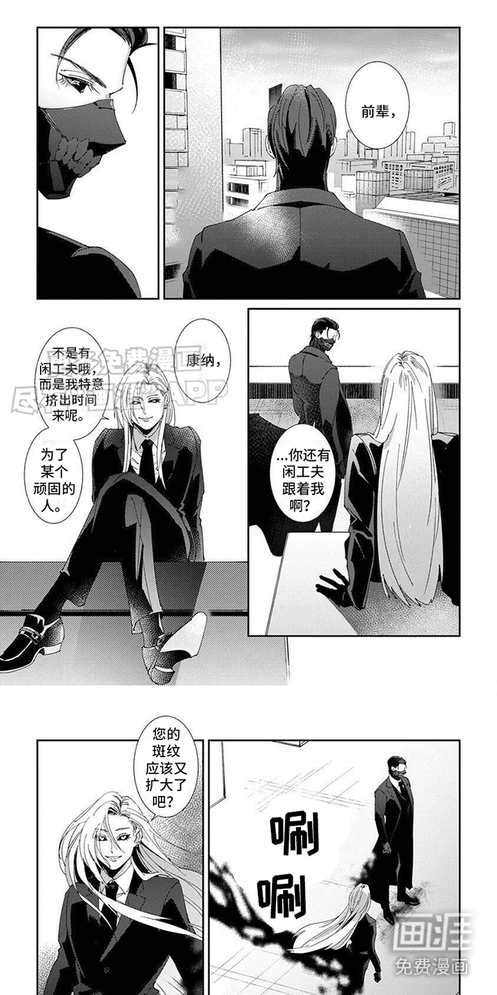 死神庇护漫画-图0