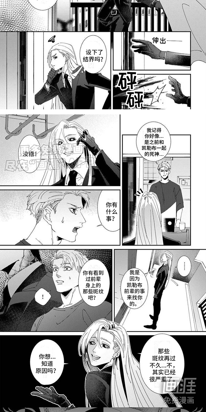 死神庇护漫画-图4