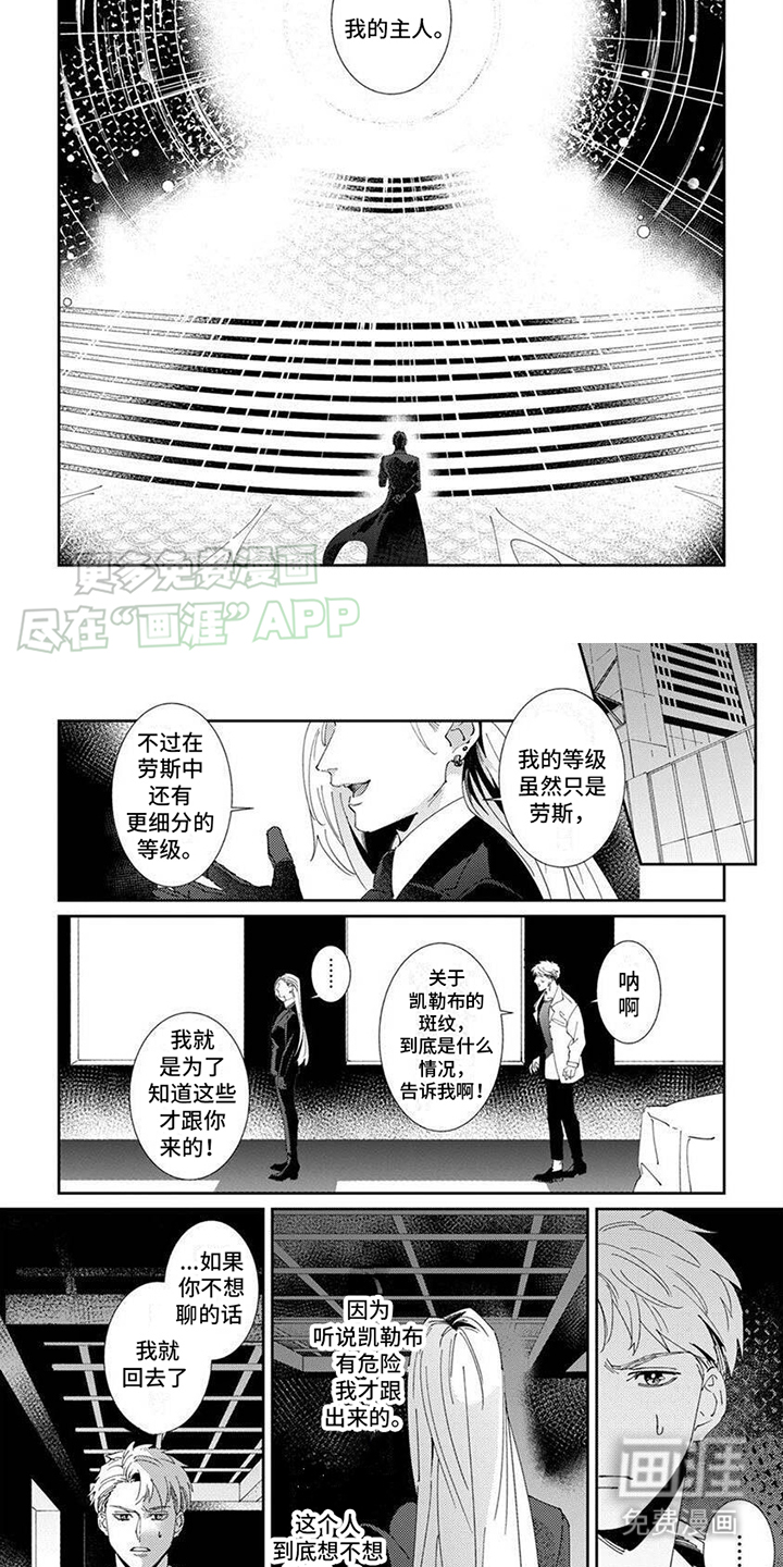死神庇护漫画-图6