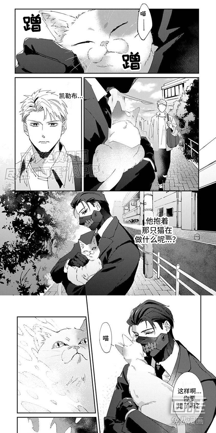 死神庇护第5话图