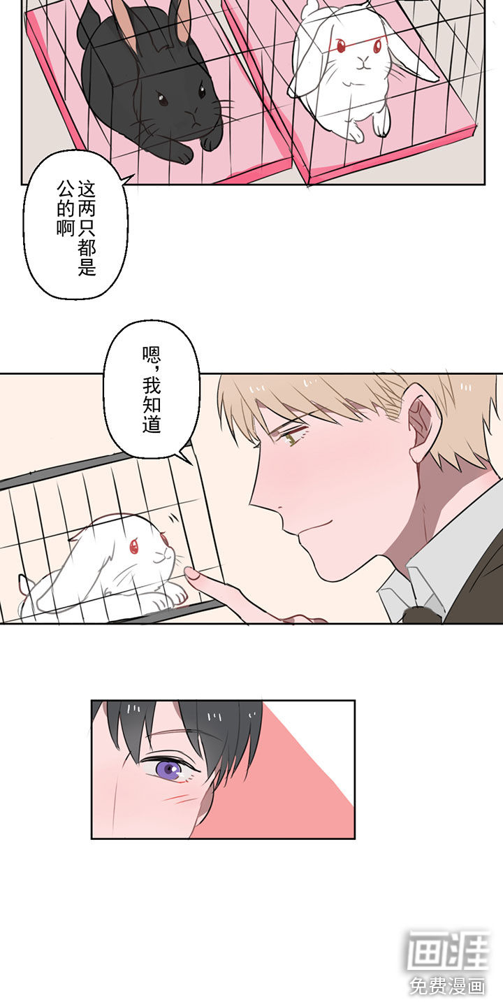 送快递这件破事儿 第9话 第20页