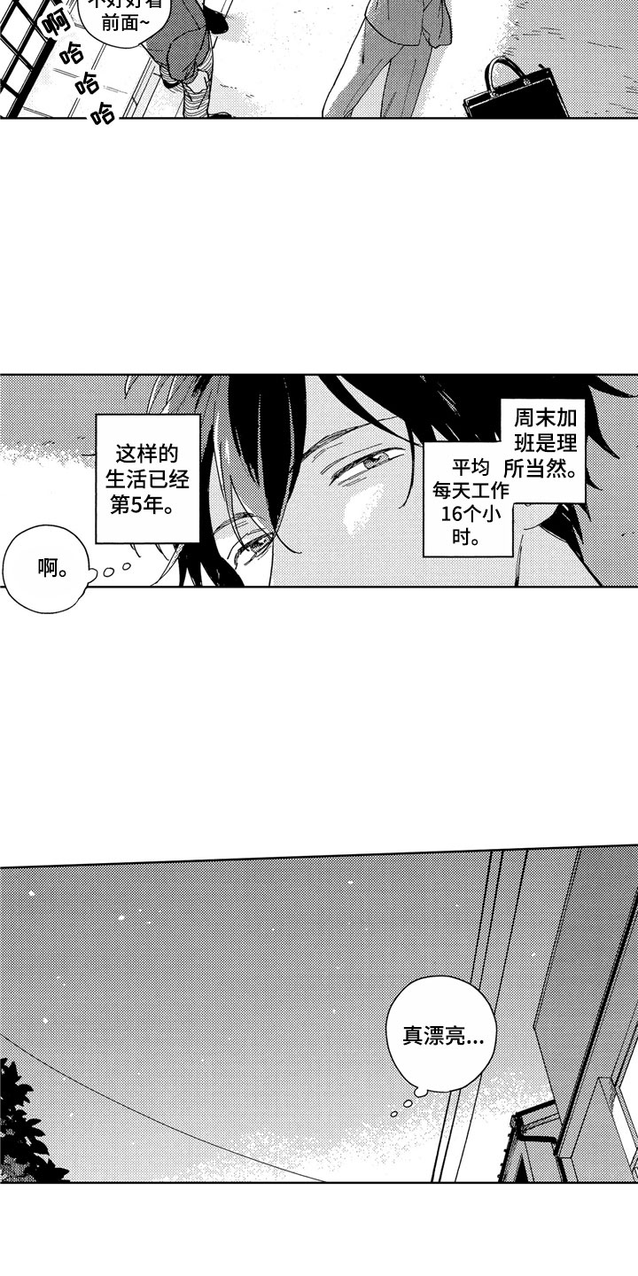 社畜也有爱情第1话图