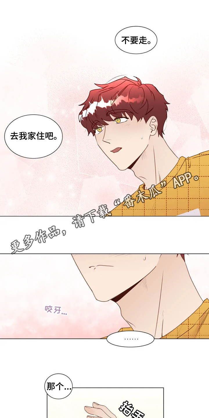 神的祭品先生第22话图