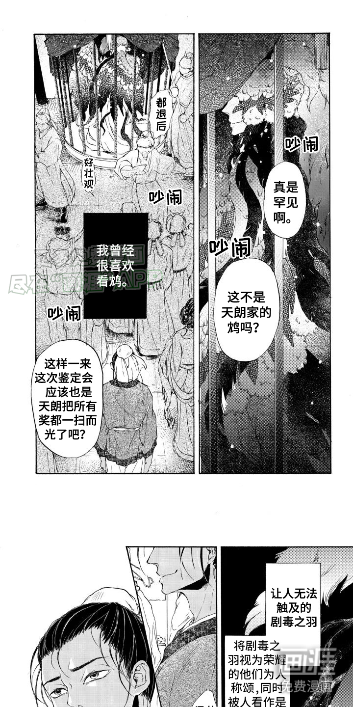 圣洁羽翼第1话图