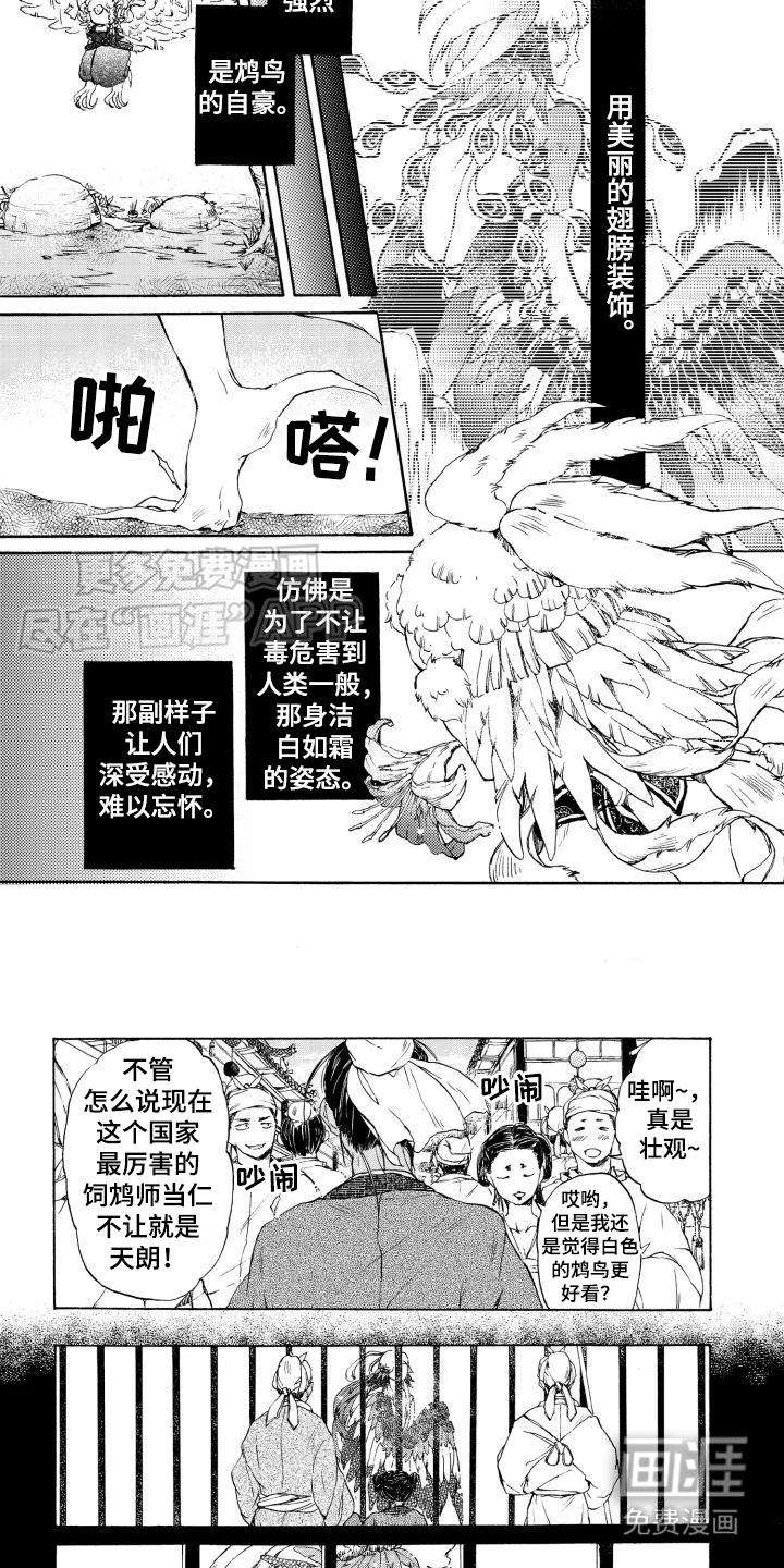 圣洁羽翼第1话图