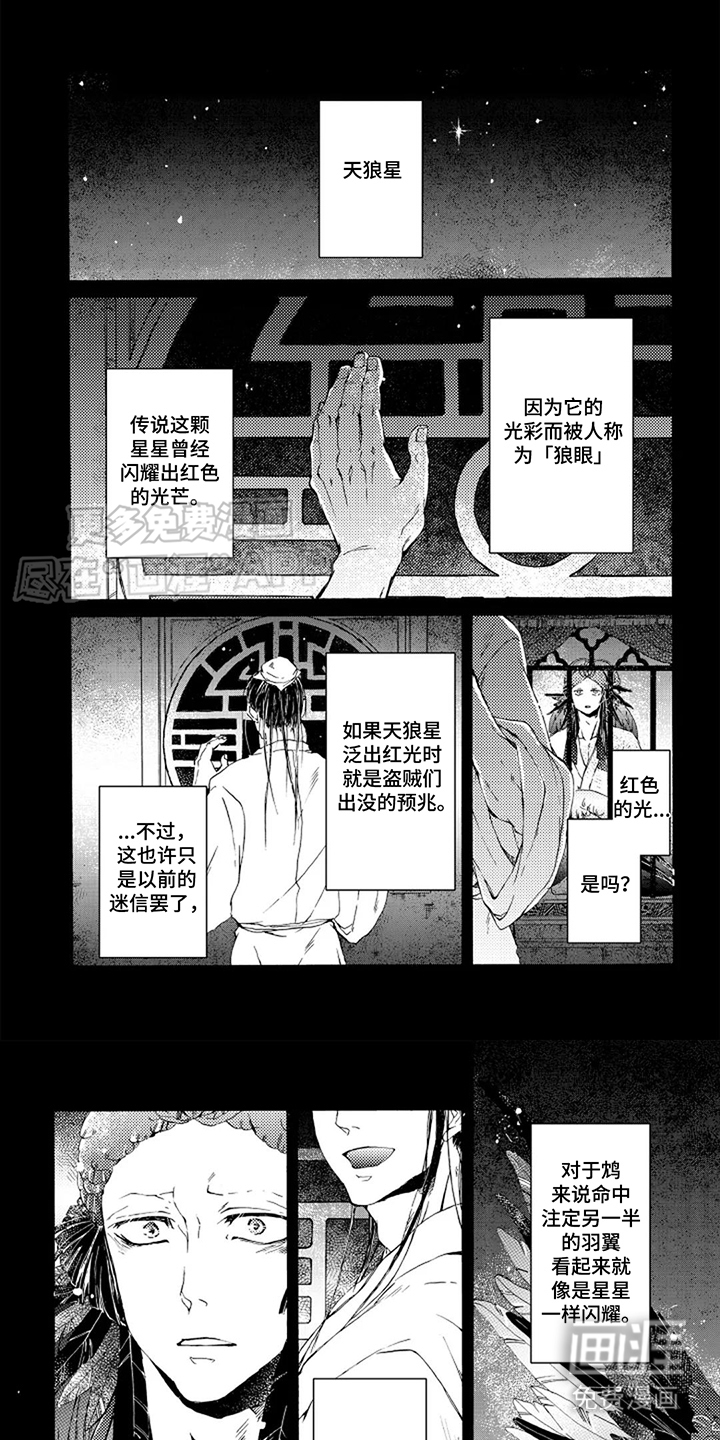 圣洁羽翼第11话图