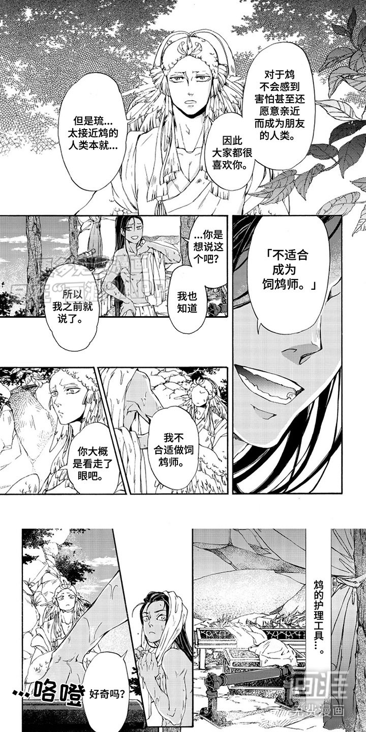 圣洁羽翼第13话图