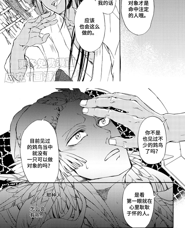 圣洁羽翼第13话图