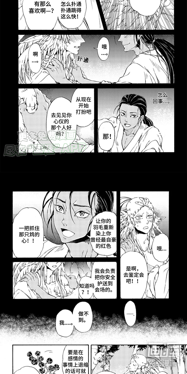 圣洁羽翼第15话图