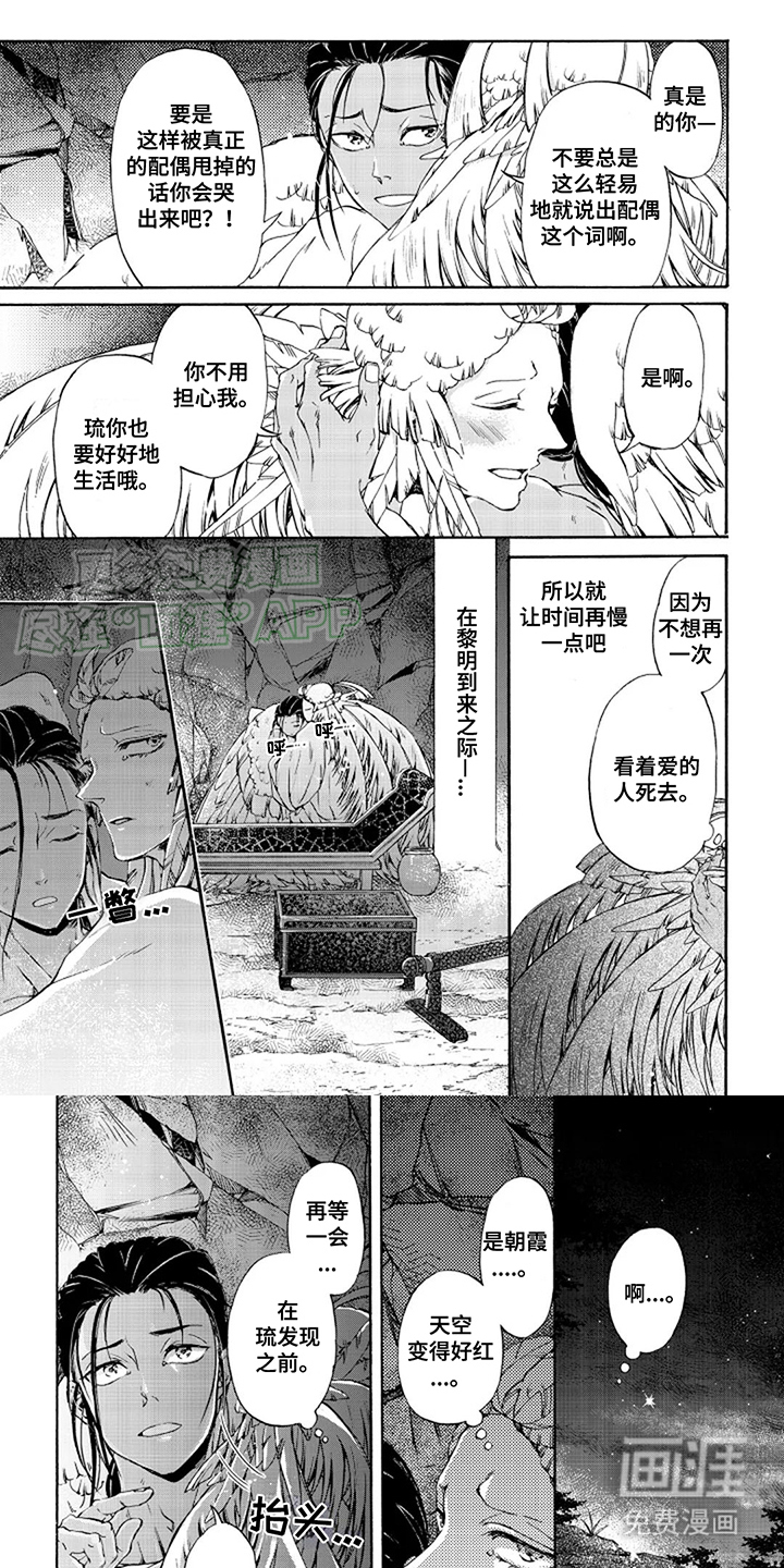 圣洁羽翼第18话图