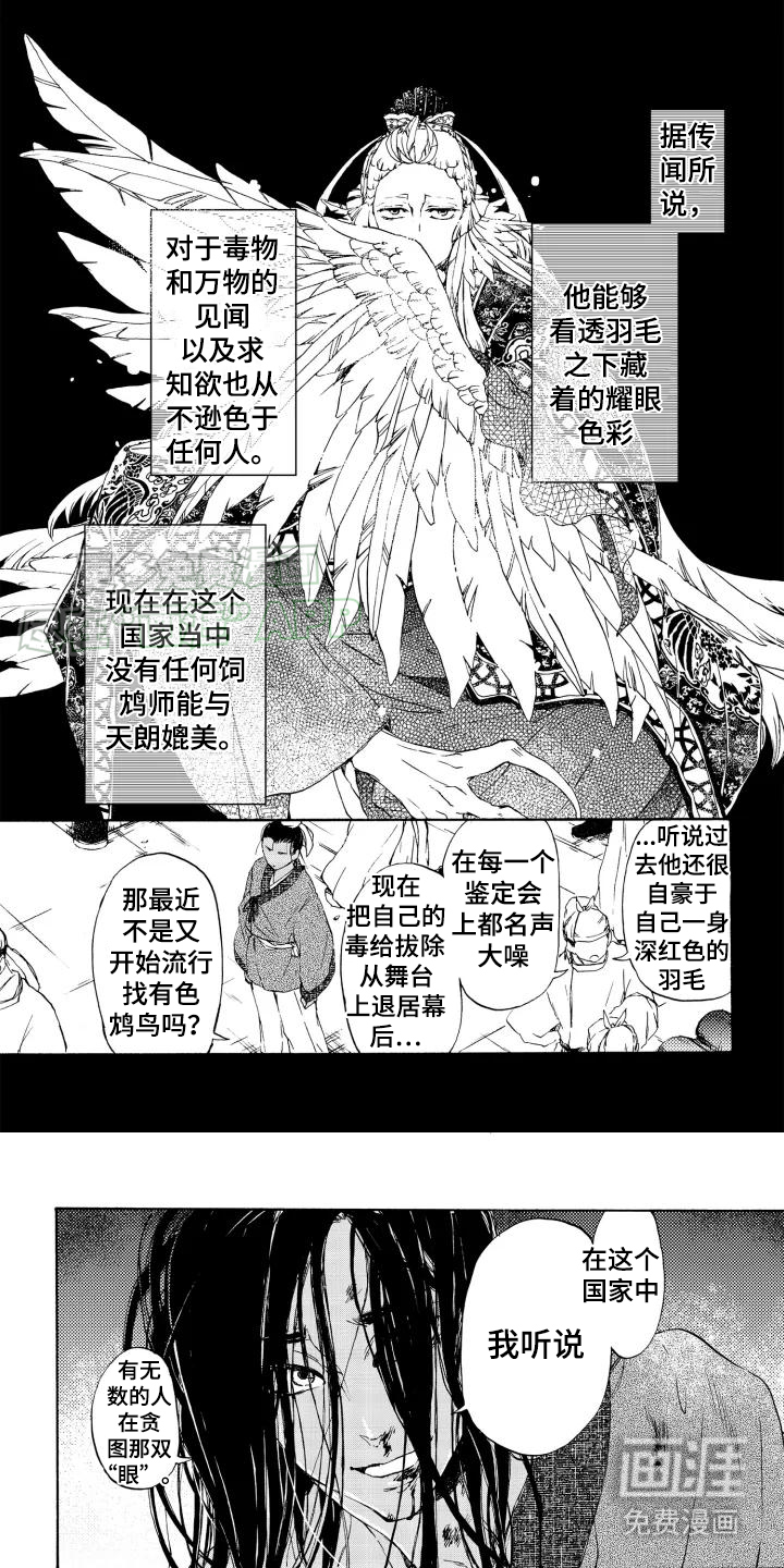 圣洁羽翼第2话图