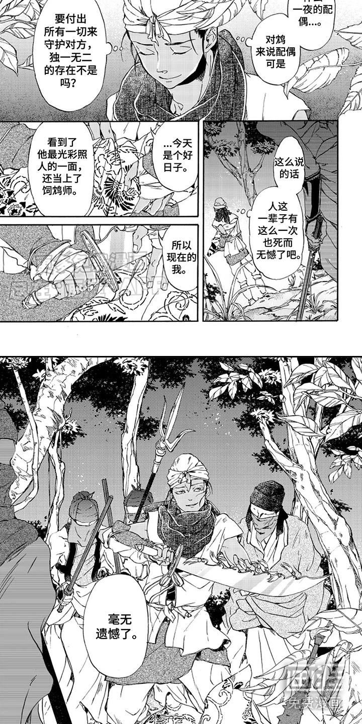 圣洁羽翼漫画-图6