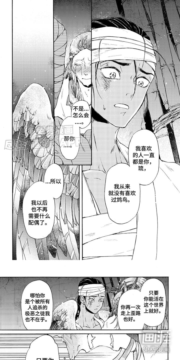 圣洁羽翼第25话图