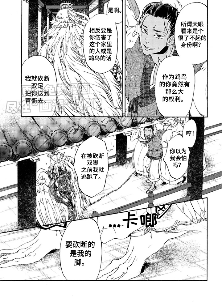 圣洁羽翼第3话图