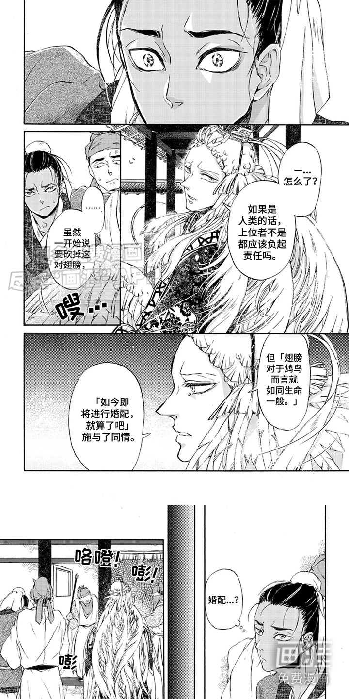 圣洁羽翼第4话图