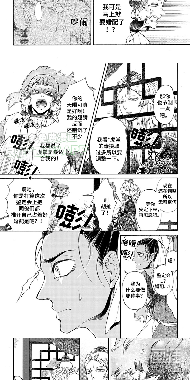 圣洁羽翼第4话图