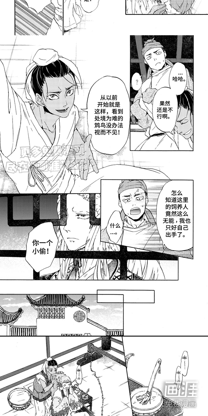 圣洁羽翼漫画-图5