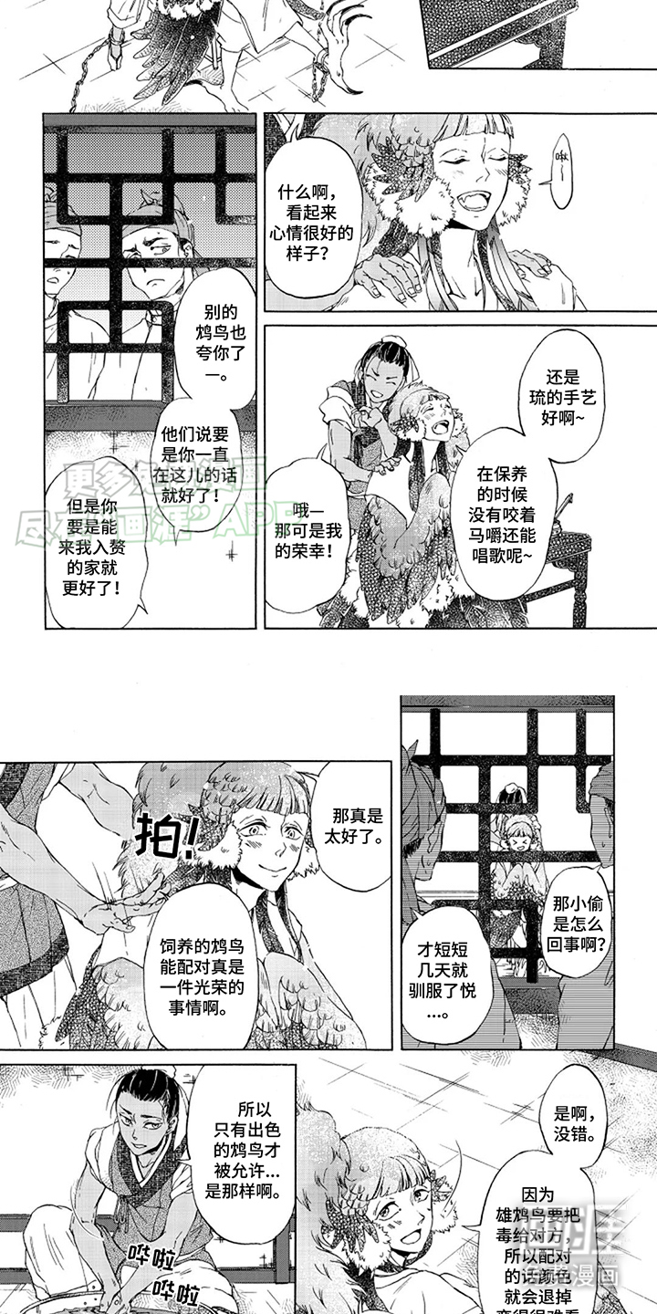 圣洁羽翼漫画-图6