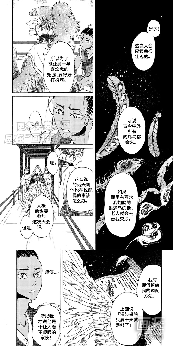 圣洁羽翼第5话图