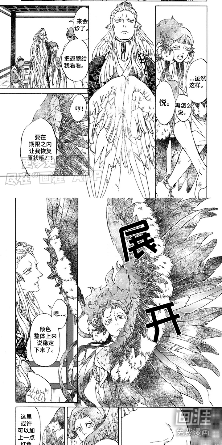 圣洁羽翼第5话图