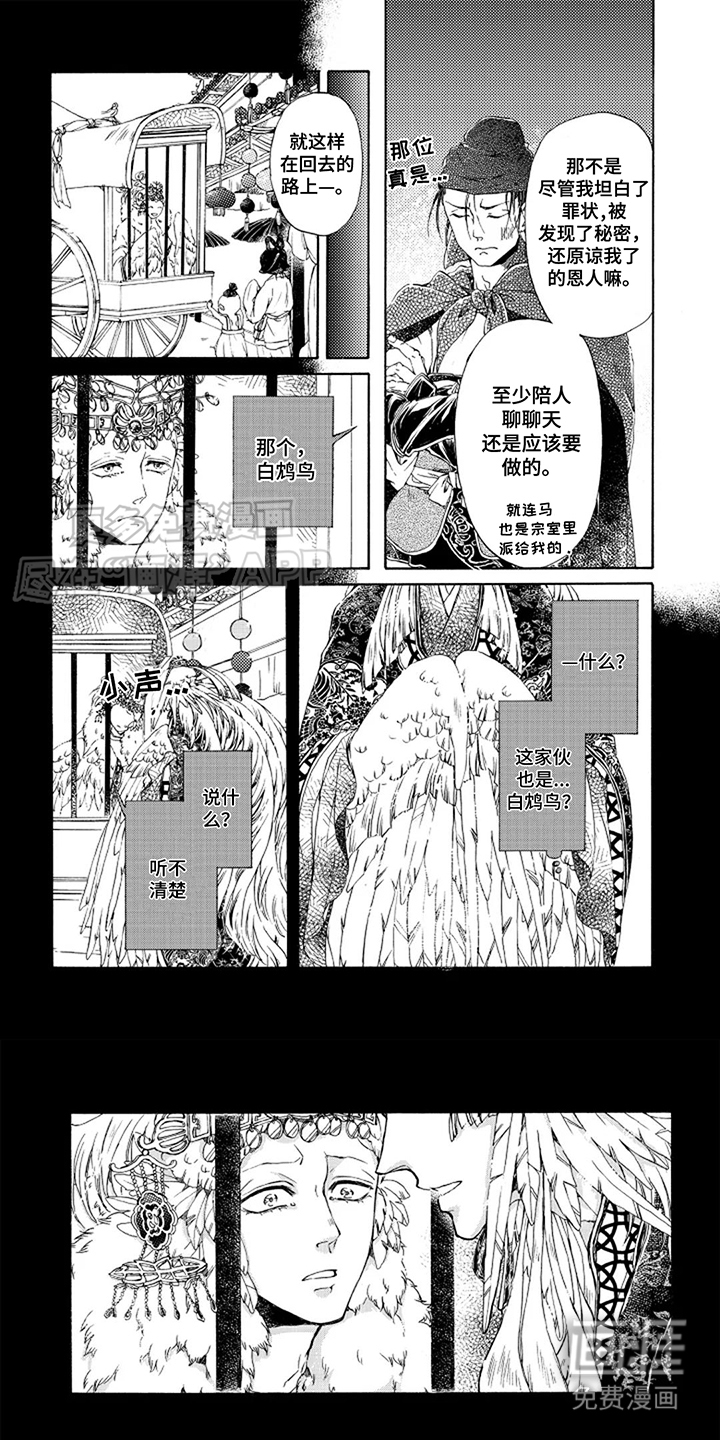 圣洁羽翼第6话图