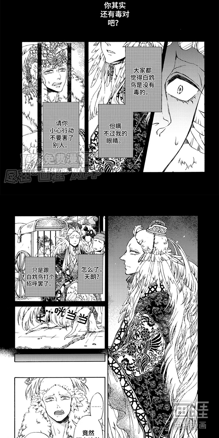 圣洁羽翼第6话图