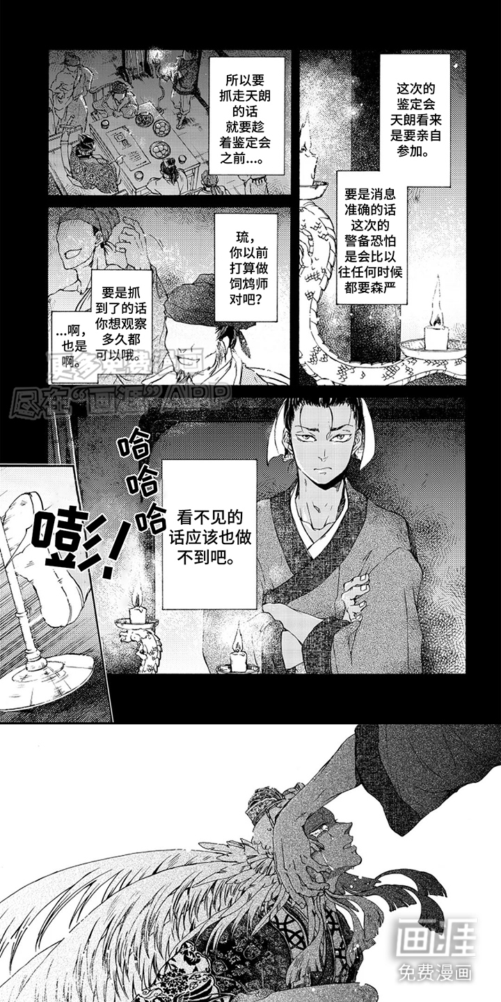 圣洁羽翼第7话图