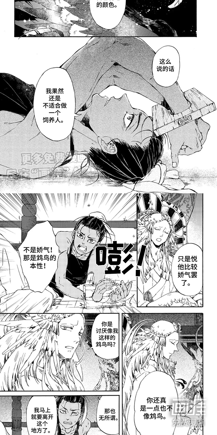 圣洁羽翼第8话图