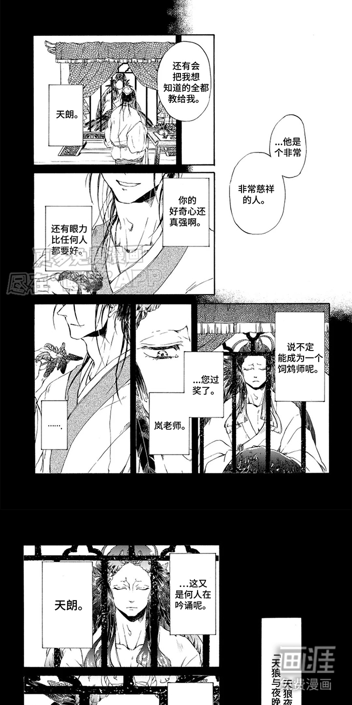 圣洁羽翼第9话图