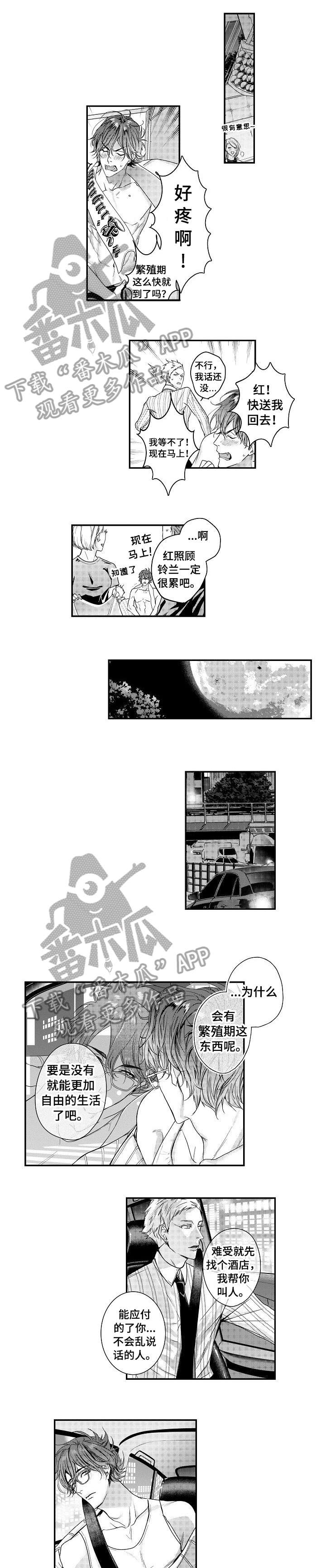 BOB世界第15话图