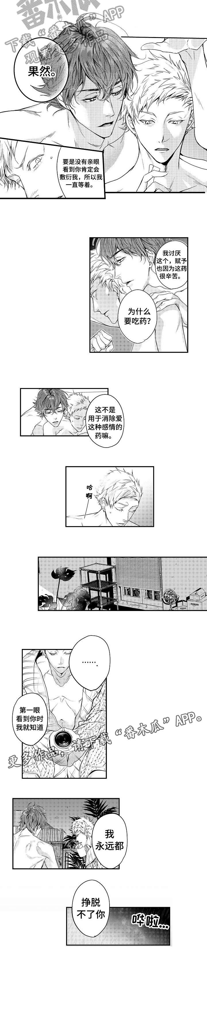 BOB世界第16话图