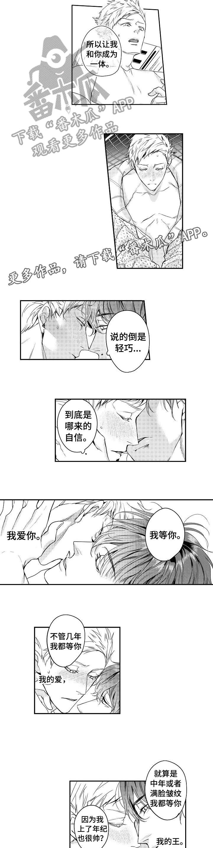 BOB世界第17话图