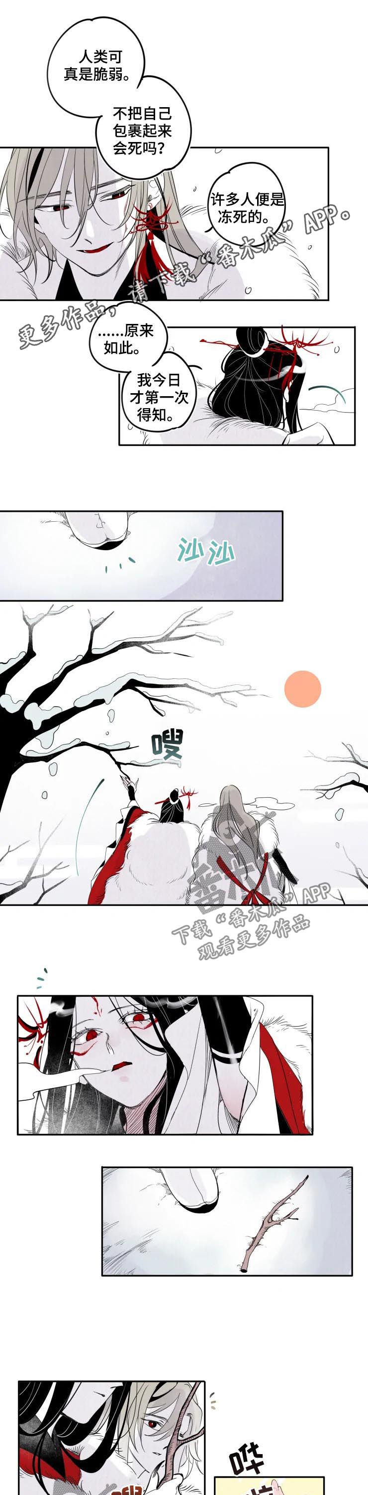 石物语第24话图