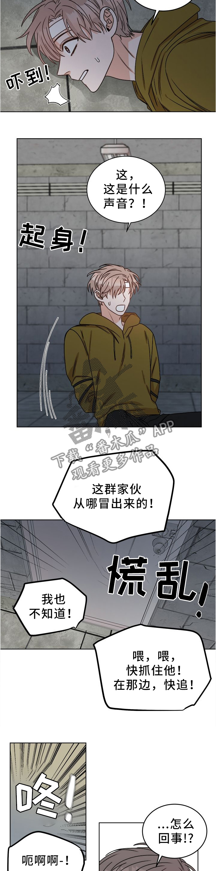 生存强者 第25话 第5页